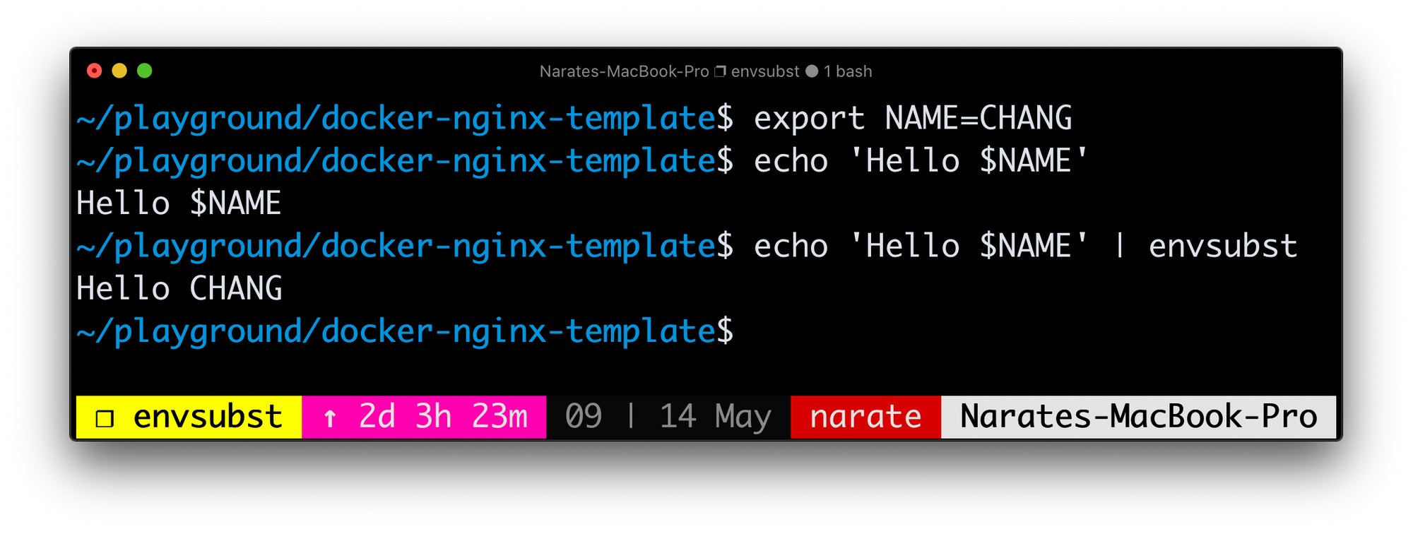 Nginx Configuration template