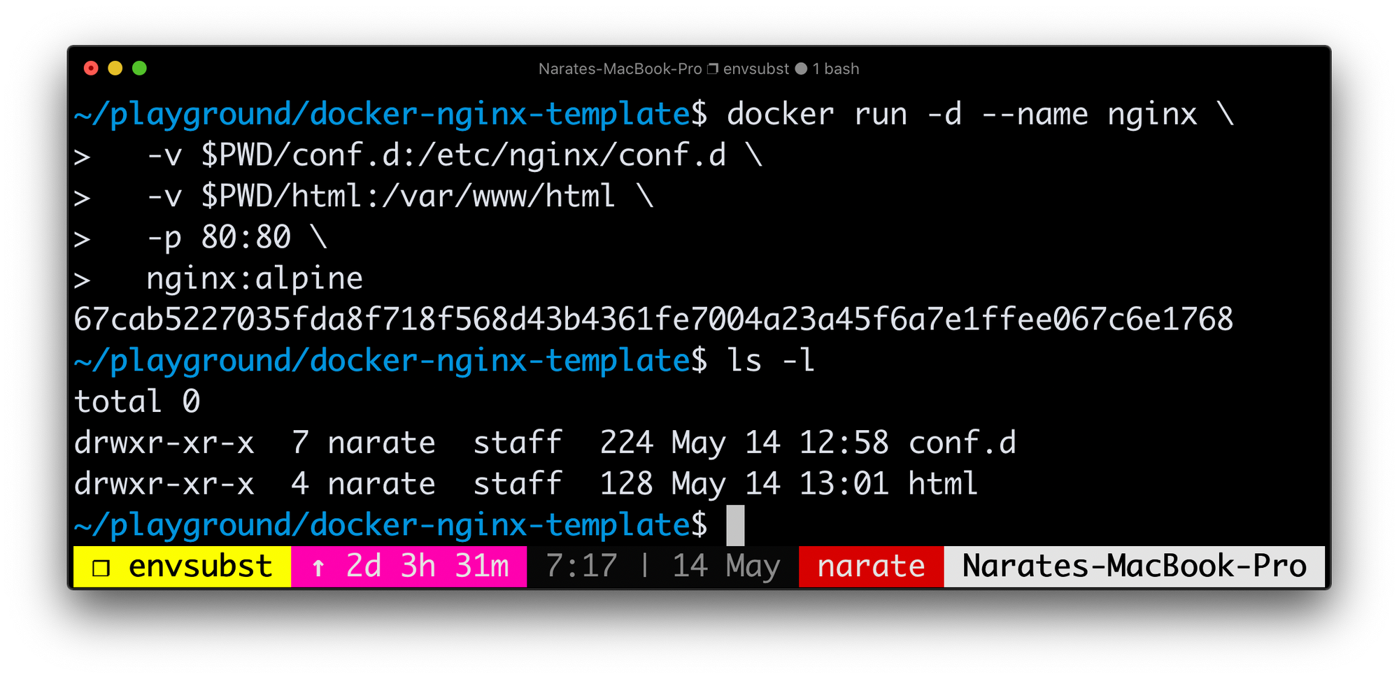 Nginx Configuration template